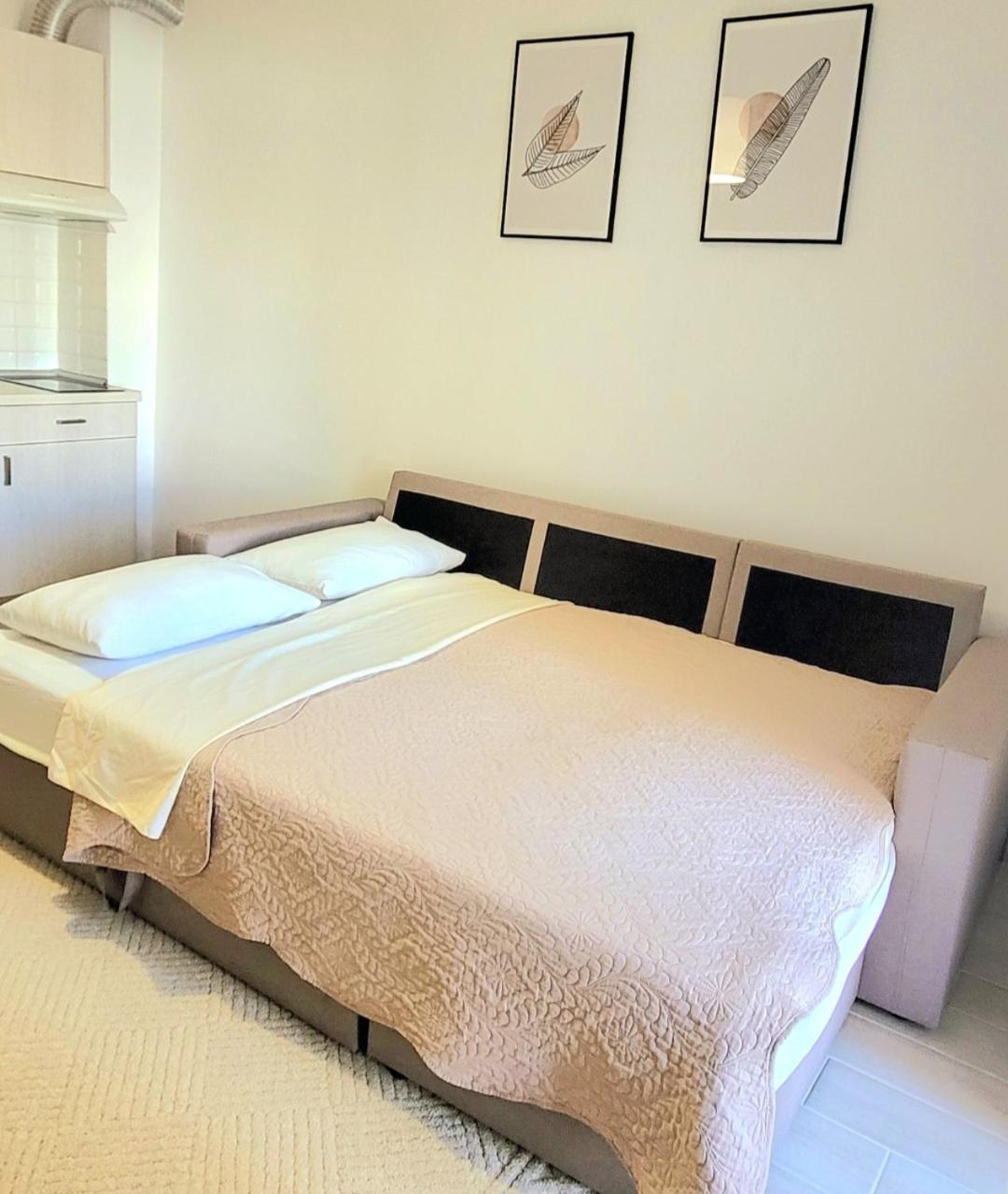Center River Apartment ฟลอรินา ภายนอก รูปภาพ