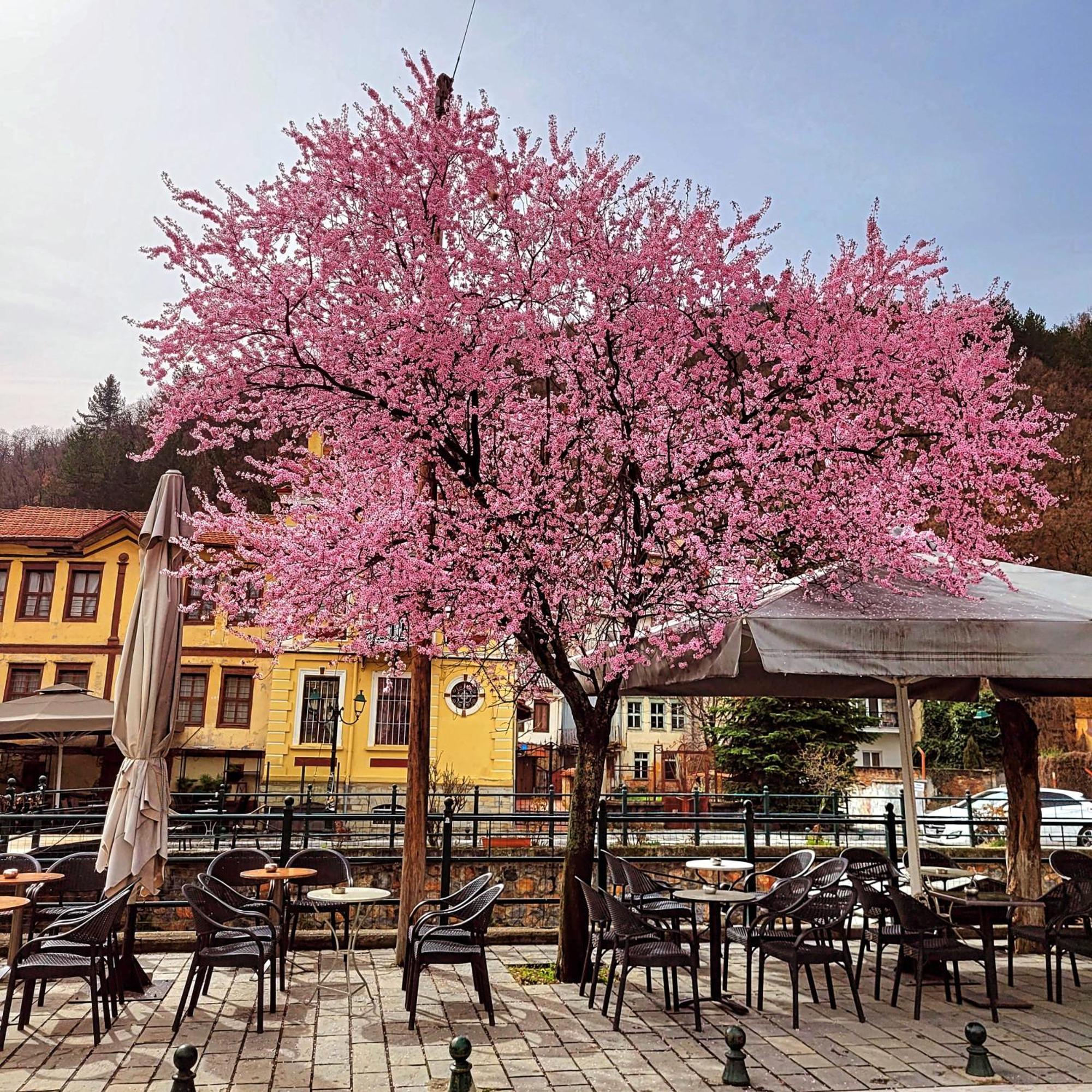 Center River Apartment ฟลอรินา ภายนอก รูปภาพ